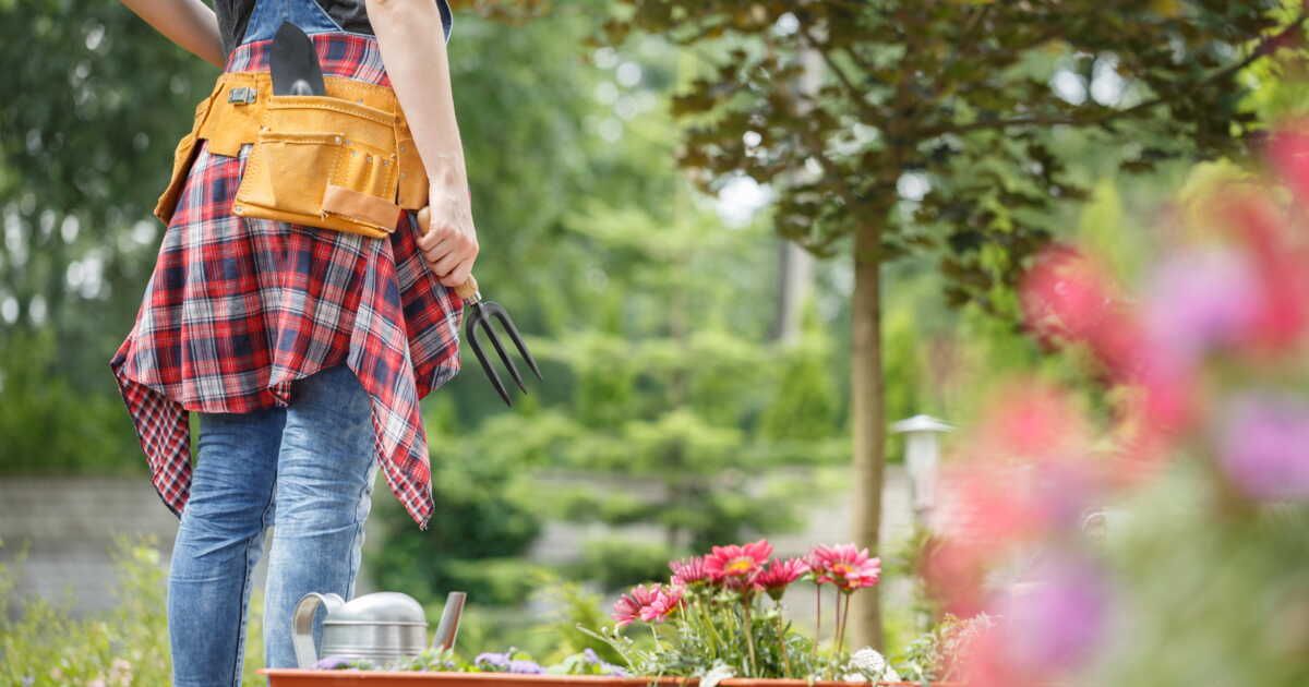 Préparer son jardin à la rentrée : les essentiels de septembre