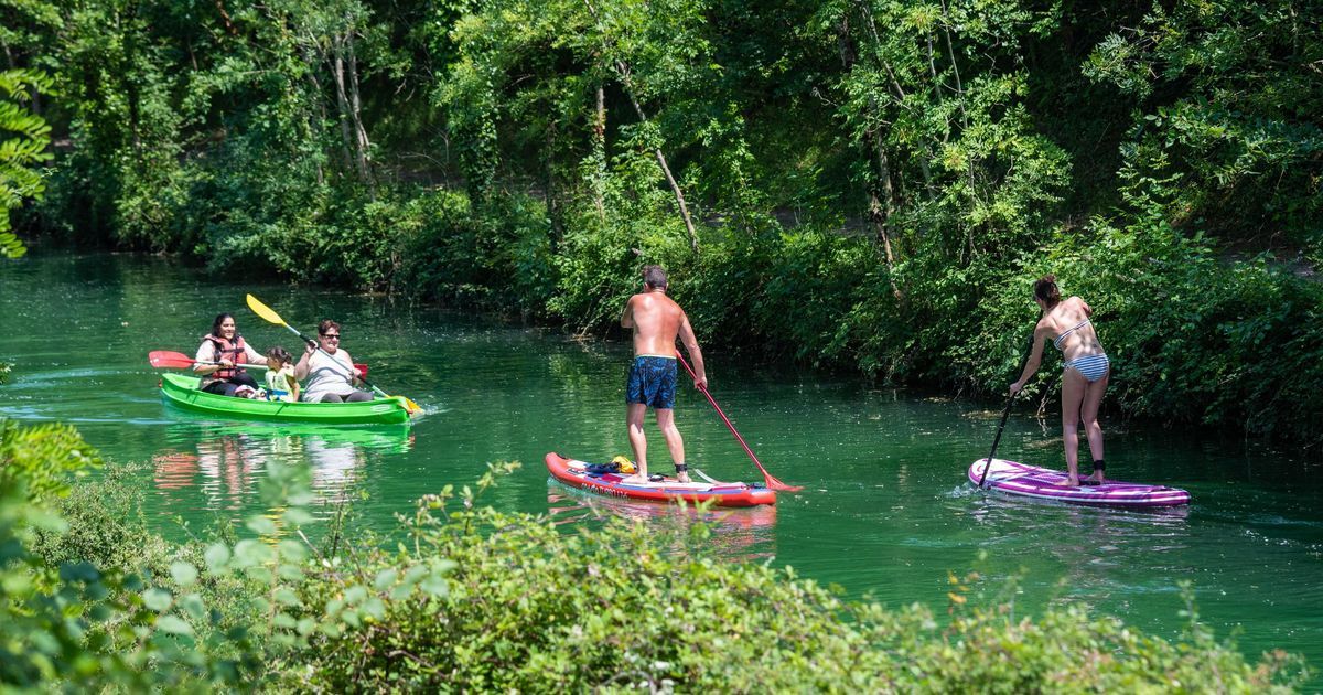 Vague de chaleur : des records frôlent les sommets dans les Charentes