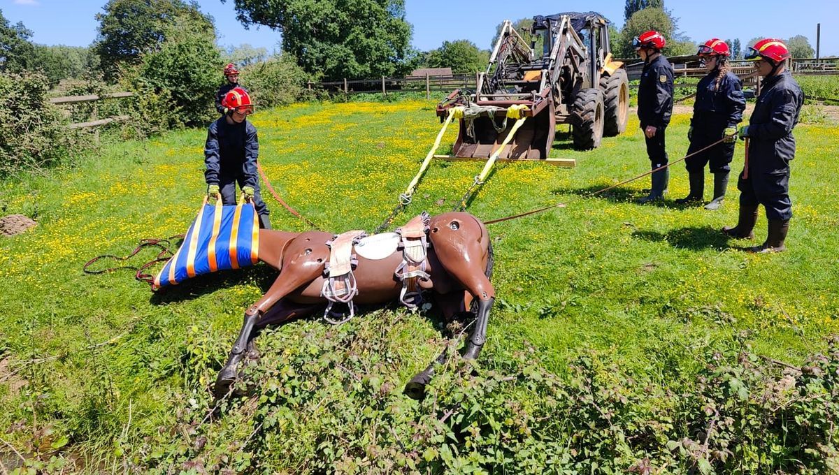 Des pompiers de la Sarthe à la rescousse des animaux : une formation innovante