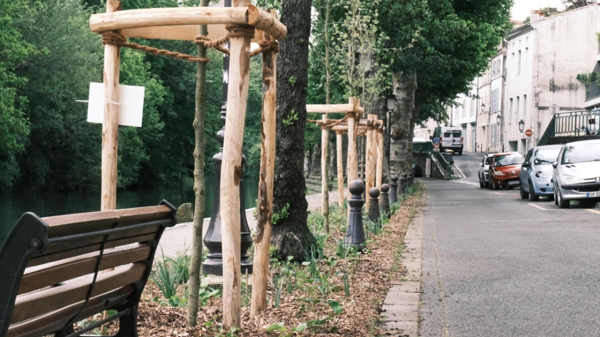 îlots de végétalisation : la clé pour rafraîchir nos villes face à la canicule