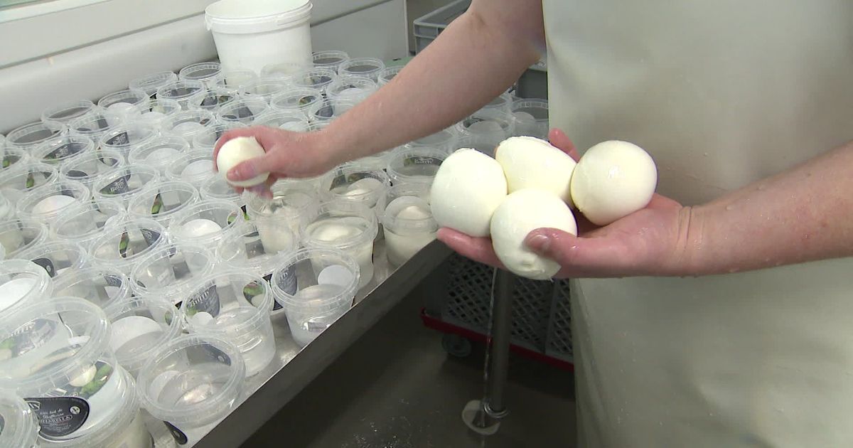 La mozzarella d'Alsace qui fait saliver les chefs étoilés