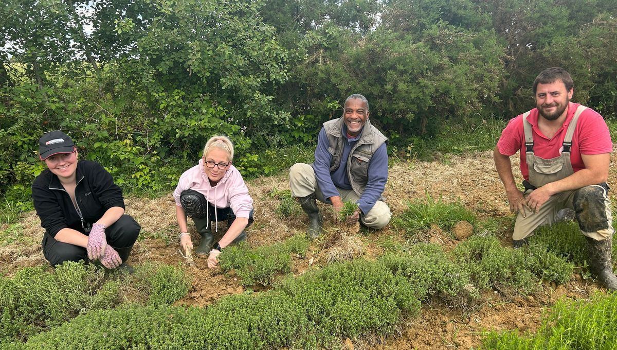 Des adultes en reconversion se mobilisent pour le désherbage à l'Agri Campus