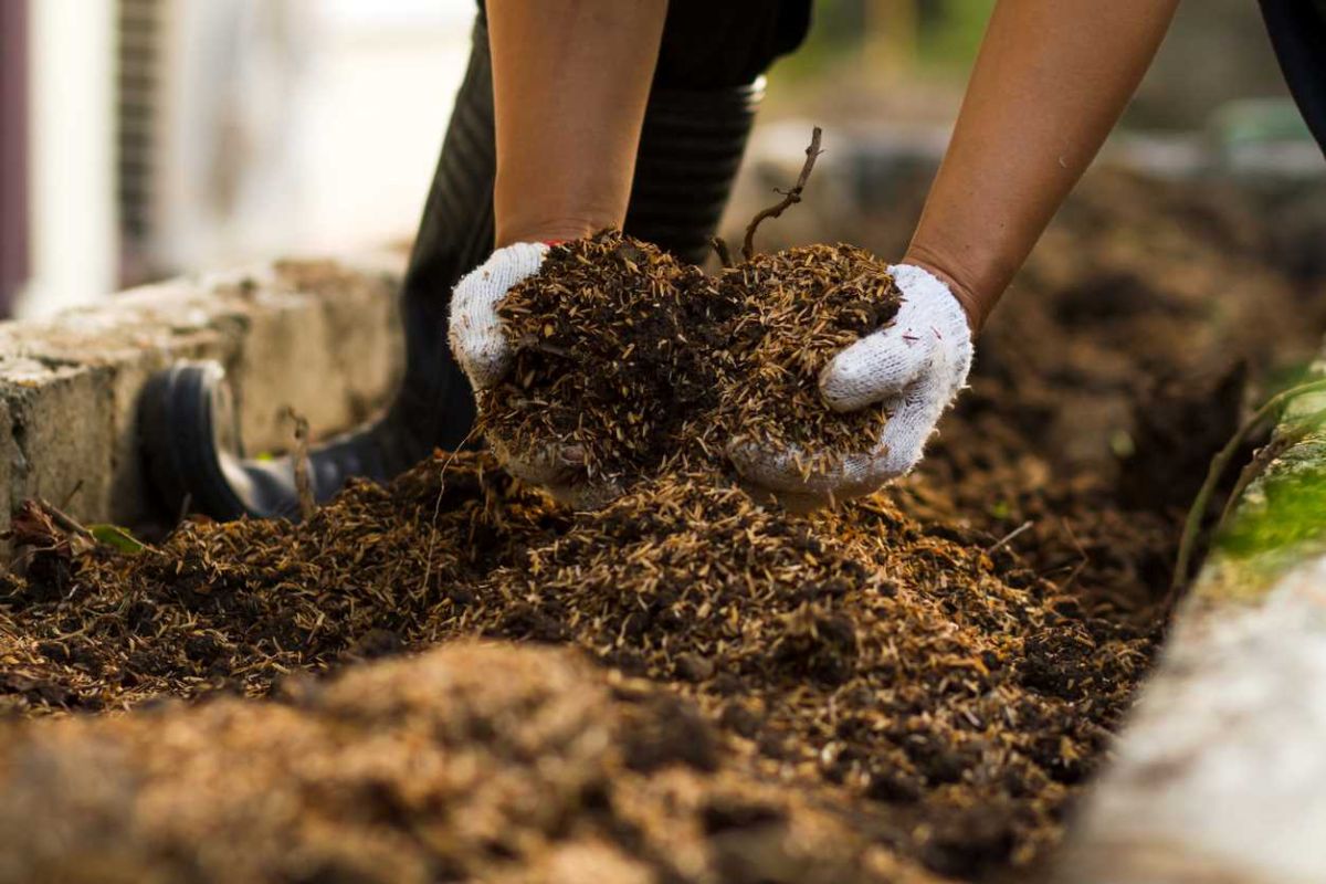 Découvrez le compostage en tranchée, la méthode méconnue qui pourrait transformer votre jardin !