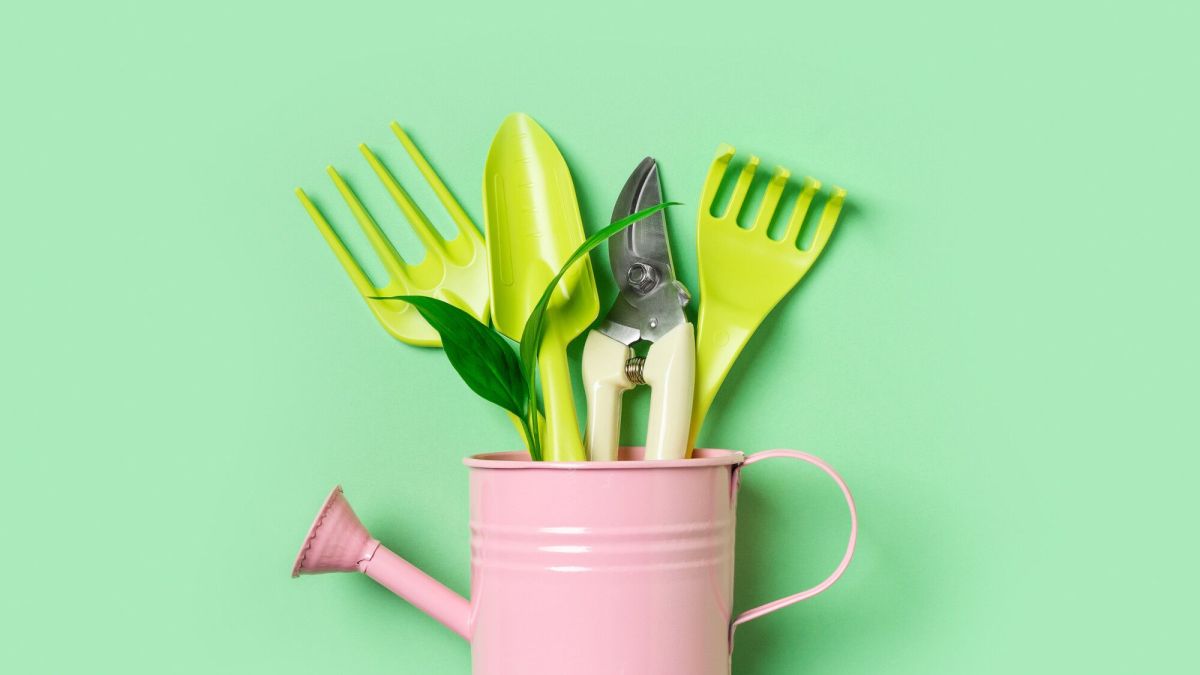 Préparer son jardin pour le printemps : 8 étapes essentielles