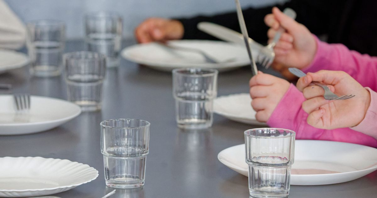 Des morceaux de plastique dans les cantines scolaires de Laval : l'alerte est donnée