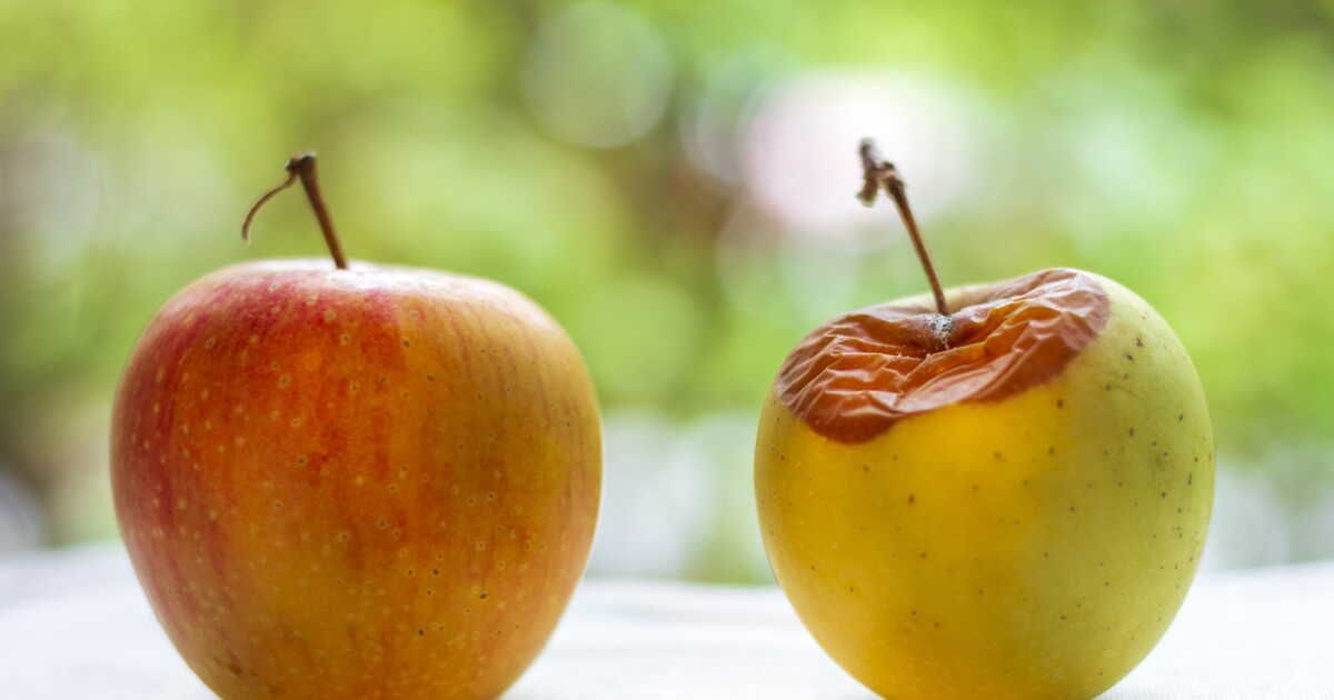 Les fruits à ne jamais stocker ensemble pour éviter la décomposition
