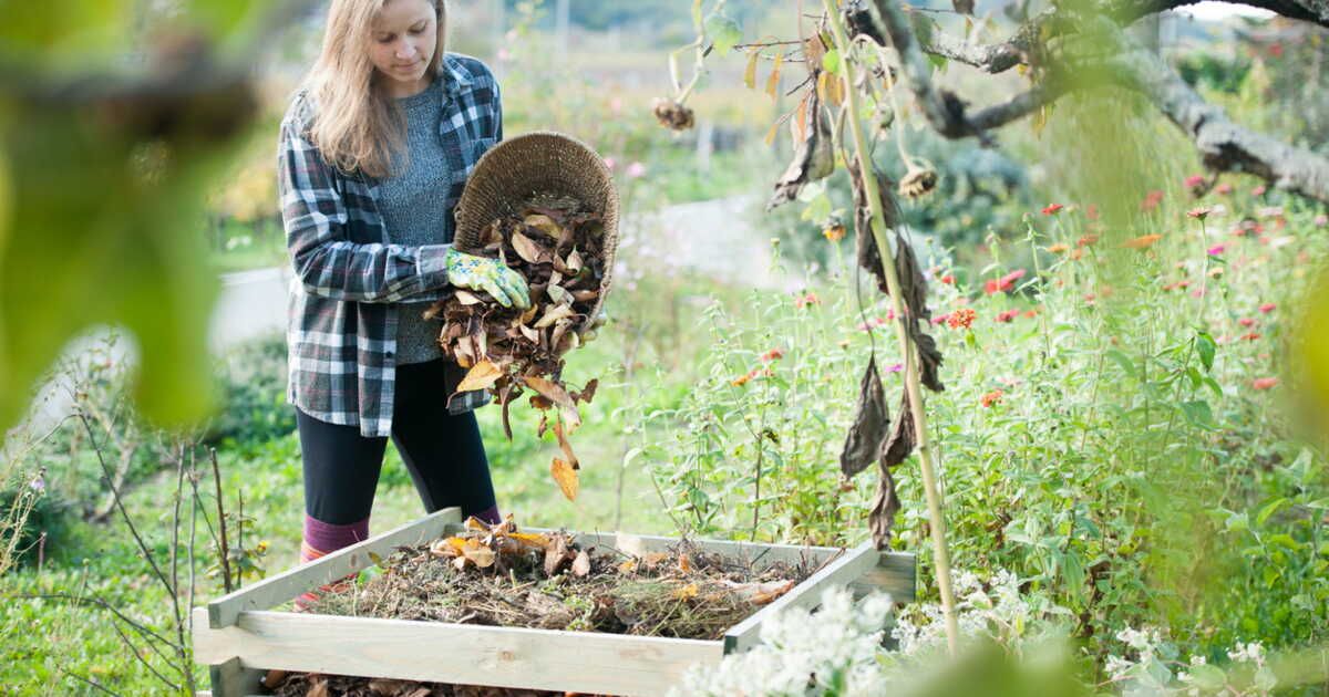 L'art du compostage : un geste essentiel pour la planète