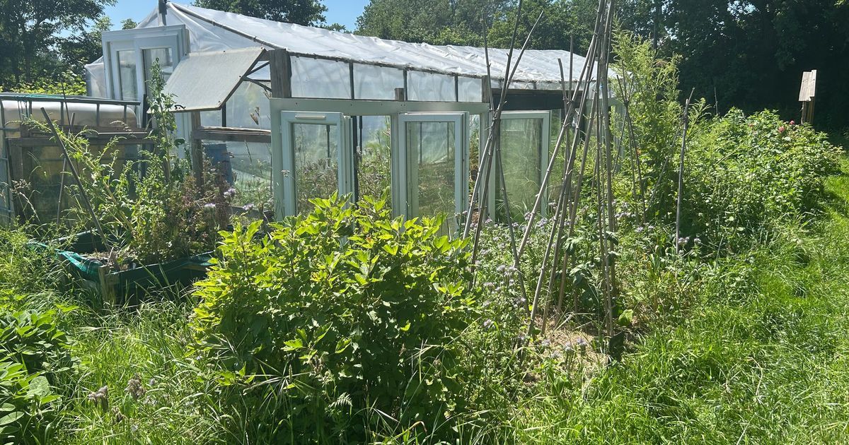 Un jardin associatif accueillant à Montourtier : visite au cœur de la nature