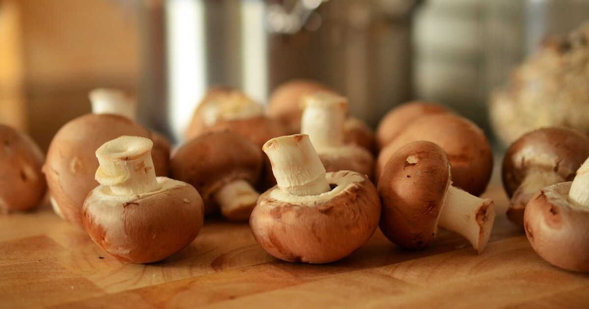 les secrets pour bien choisir vos champignons