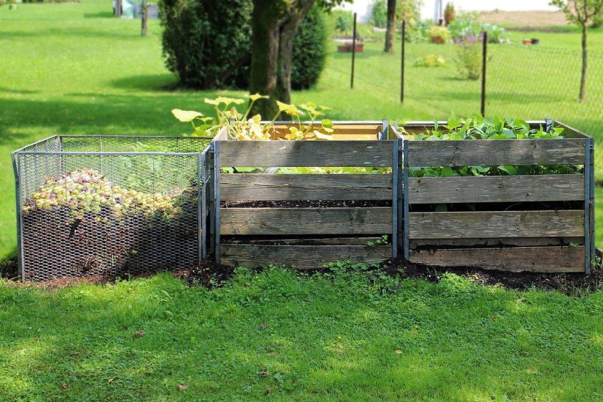 Adoptez le jardinage écologique pour un espace harmonieux et vivant