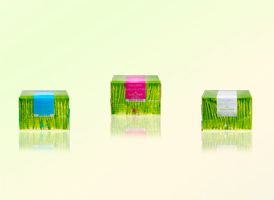 Fauchon lance des thés bien-être en pharmacie