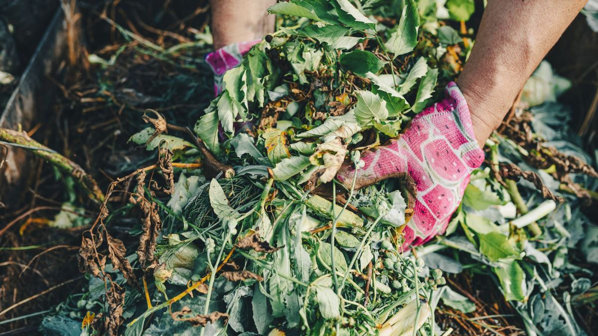 La recette du compost parfait : un atout pour votre jardin