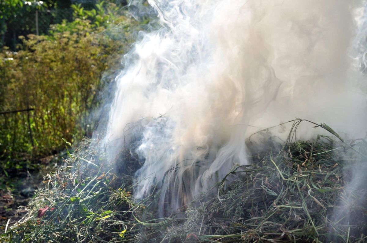 Brûler des déchets verts : un geste qui pourrait vous coûter cher