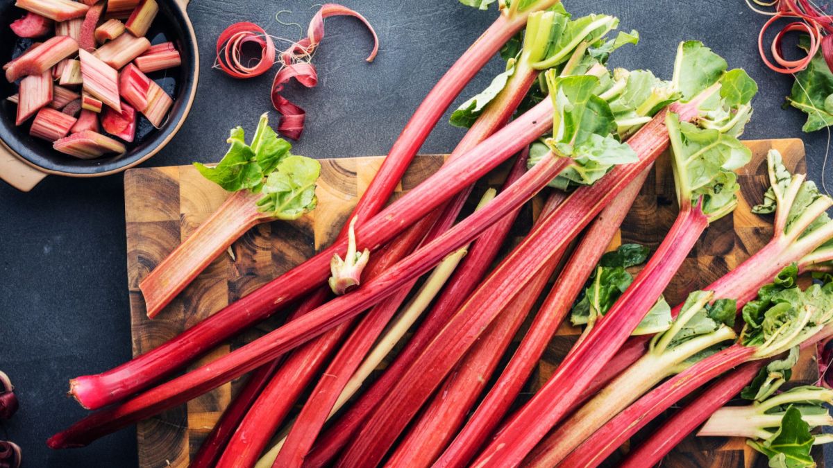 la rhubarbe, une beauté gustative à consommer avec précaution selon alain baraton