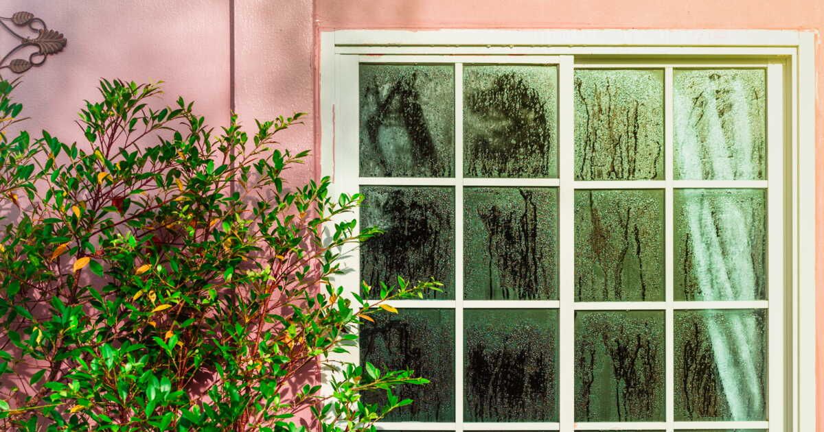 5 conseils pratiques pour garder vos fenêtres au chaud cet hiver