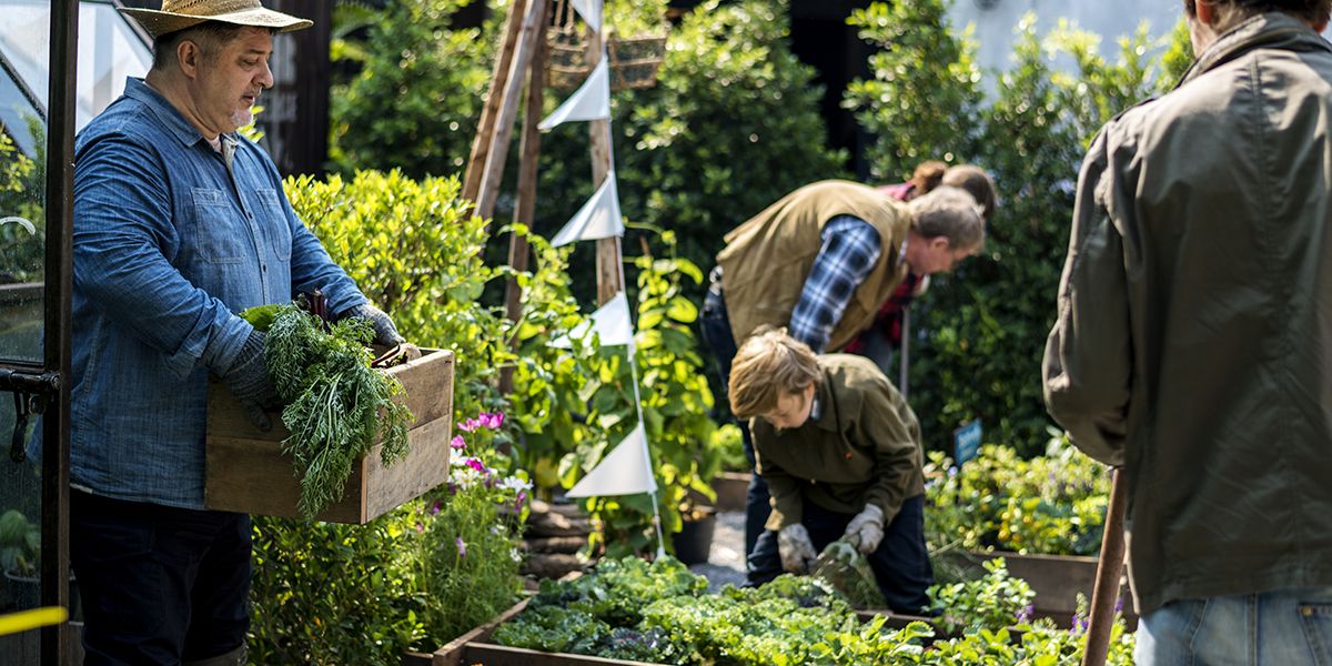 Les clés d'un jardin partagé réussi : erreurs à éviter absolument
