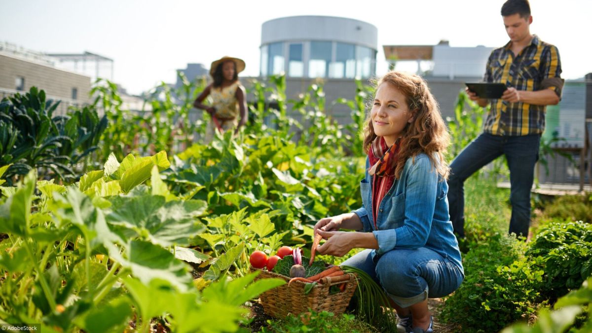 Co-jardinage : une plateforme pour verdir vos espaces urbains