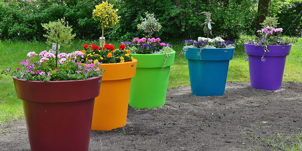 Redécouvrez le jardin avec des pots et jardinières en plastique colorés