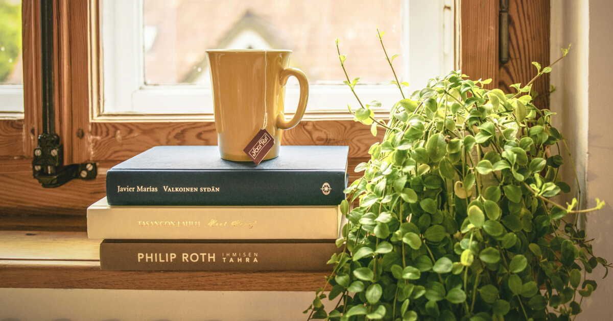 20 plantes parfaites pour les novices du jardinage