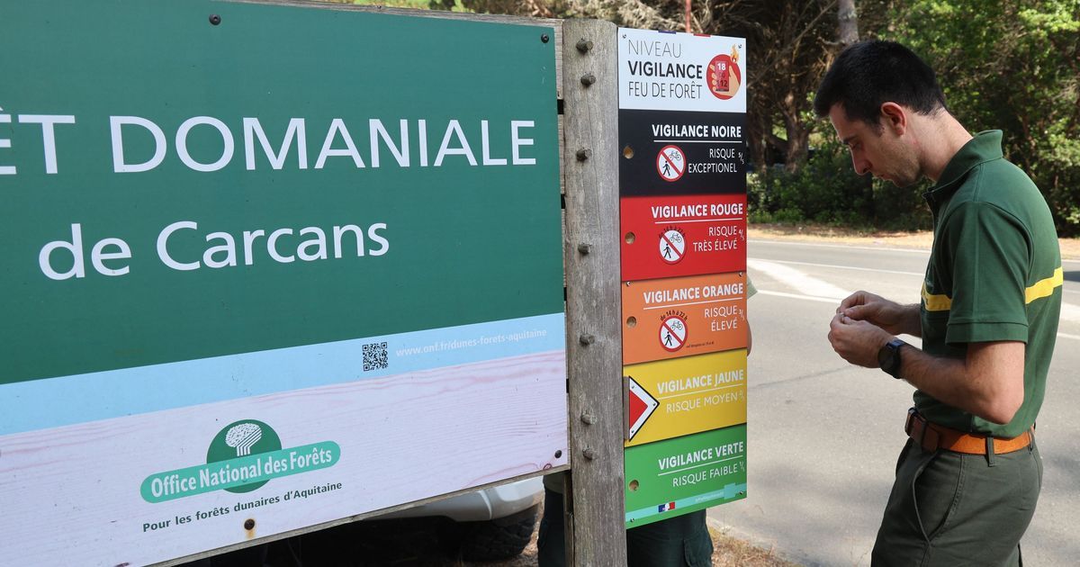 Feux de forêt en Gironde : un paradoxe de vigilance face à la canicule