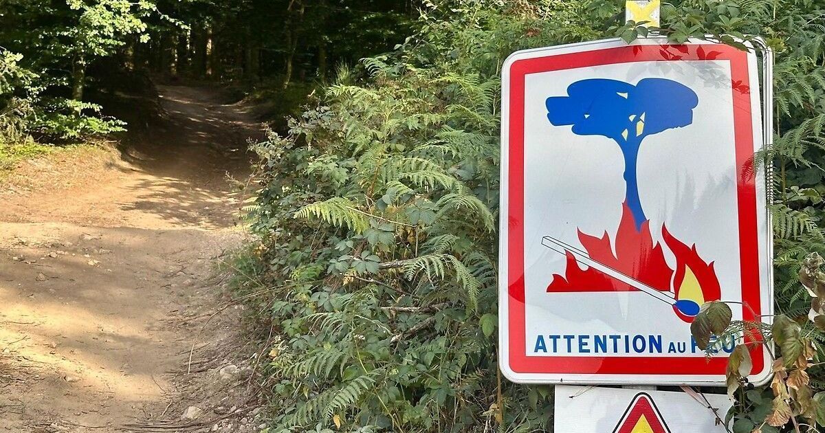 Des incendies en série en Vendée : les pompiers en alerte