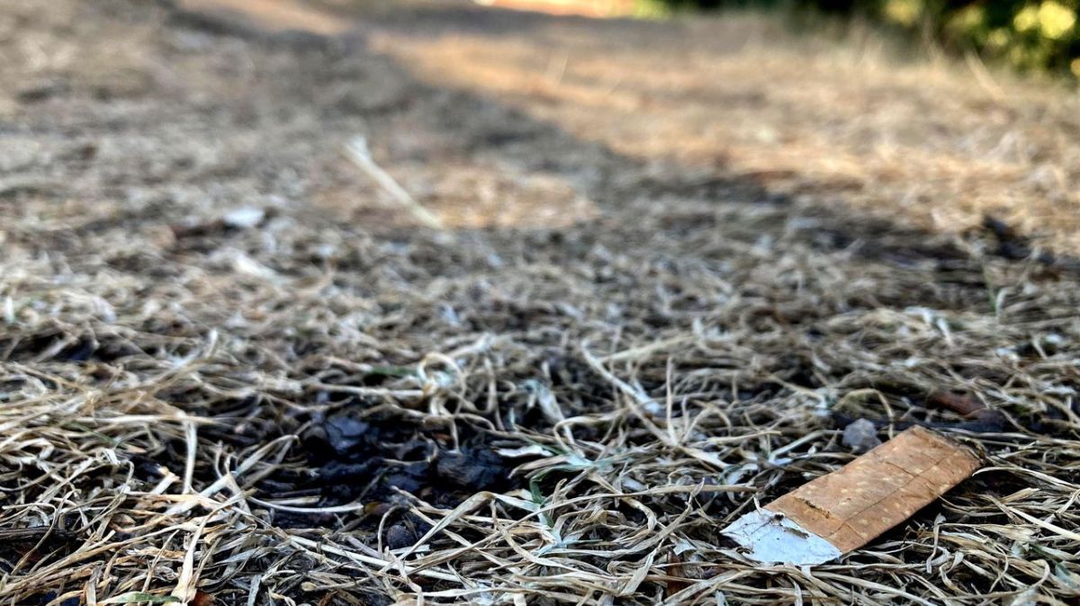 Deux-Sèvres en alerte orange : la police appelle à la vigilance contre les incendies