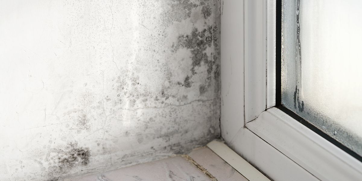 Des solutions astucieuses pour éliminer l'humidité de votre maison