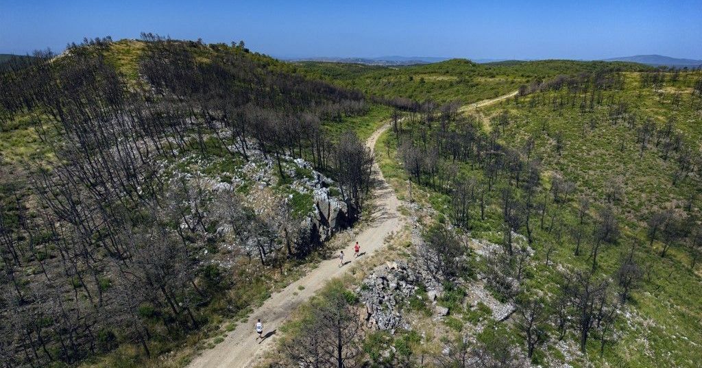Vigilance orange : l'été s'annonce chaud avec des risques de feux de forêt