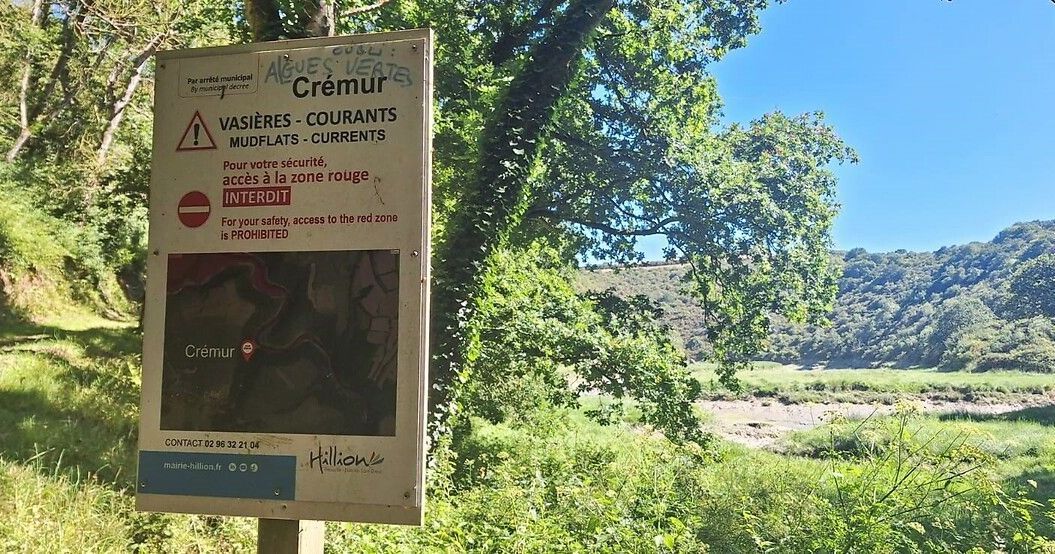 L'Etat face à ses responsabilités : algues vertes en baie de Saint-Brieuc