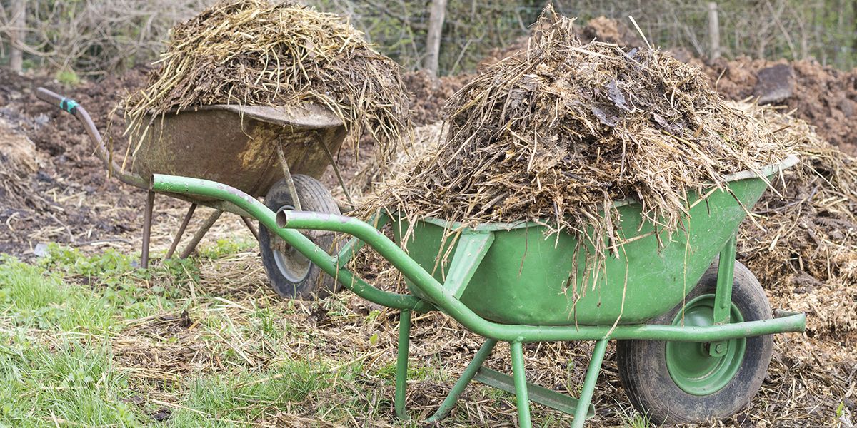 L'automne : le moment idéal pour enrichir votre potager avec du fumier