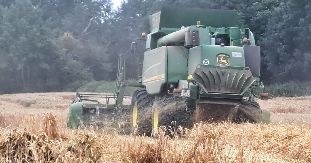 Les agriculteurs en alerte face aux incendies en Vendée