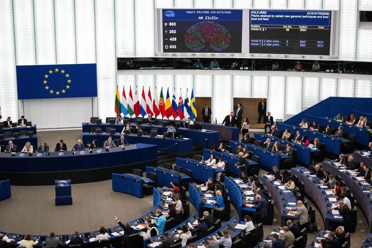 Le Parlement européen approuve la création de hubs de retour pour les migrants hors d'Europe