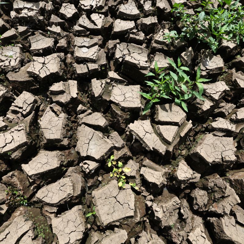 Canicule : la France sous le coup des restrictions d'eau et du risque d'incendie