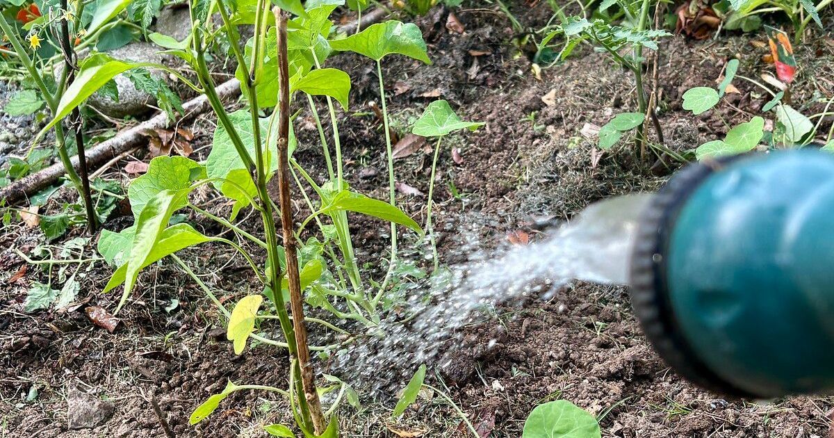 Restrictions d'eau en Sarthe face à la sécheresse imminente