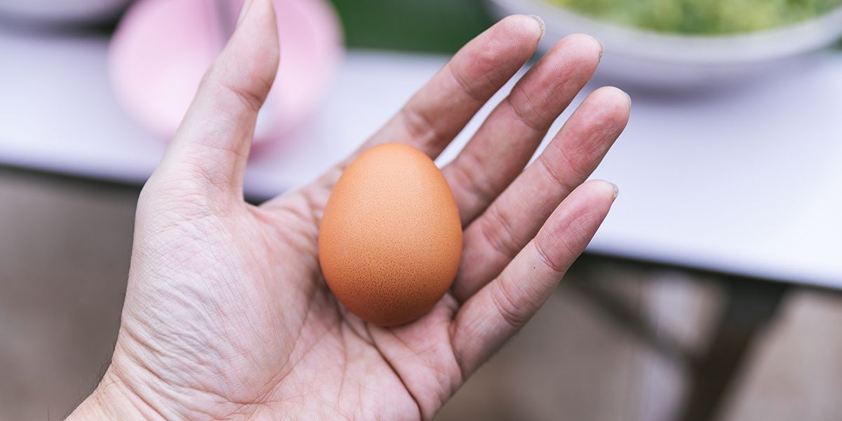 Découvrez 6 astuces de grand-mère pour vérifier la fraîcheur de vos œufs