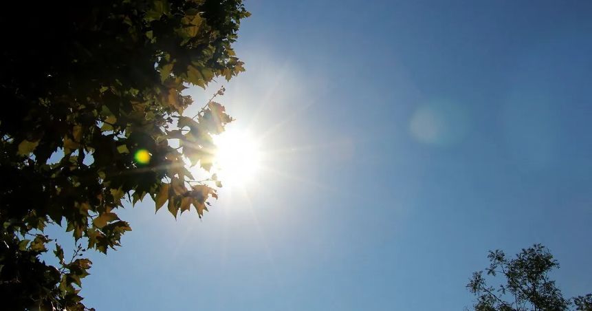 Canicule : restrictions d'eau en Mayenne pour préserver nos ressources