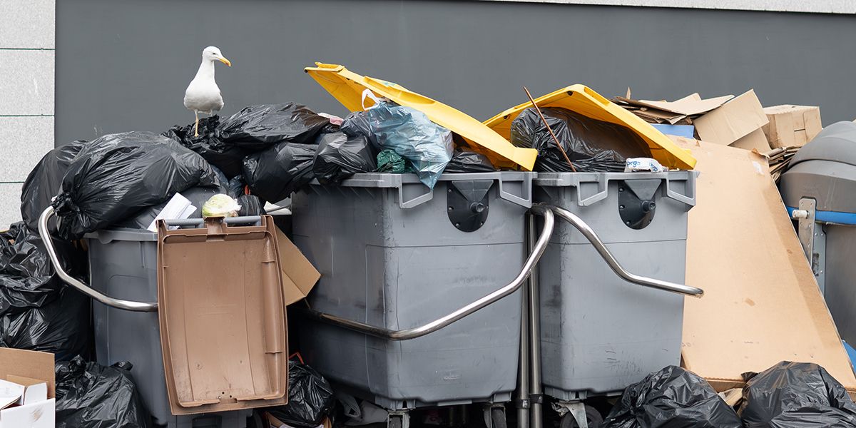 Taxe sur les ordures ménagères : propriétaire ou locataire, qui doit s'en acquitter ?