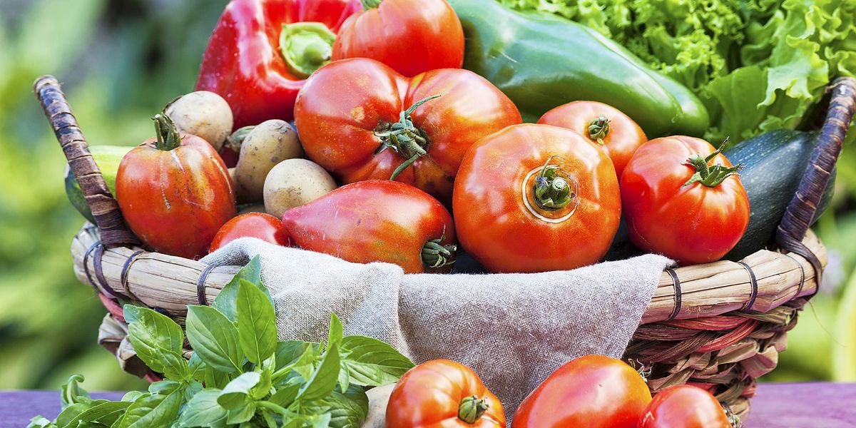 August au jardin : entre semis, récoltes et soins