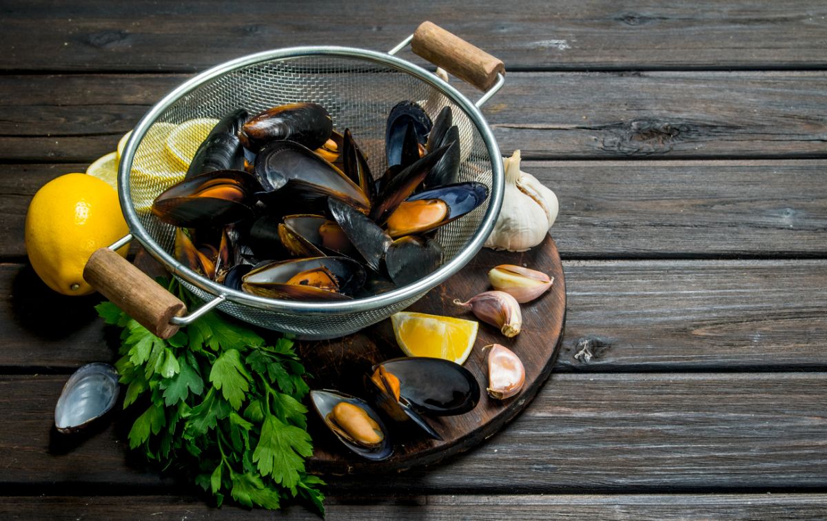 15 recettes savoureuses pour apprécier les moules cet été