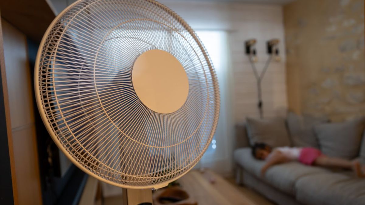 Canicule : la France face à des températures records et une alerte rouge étendue