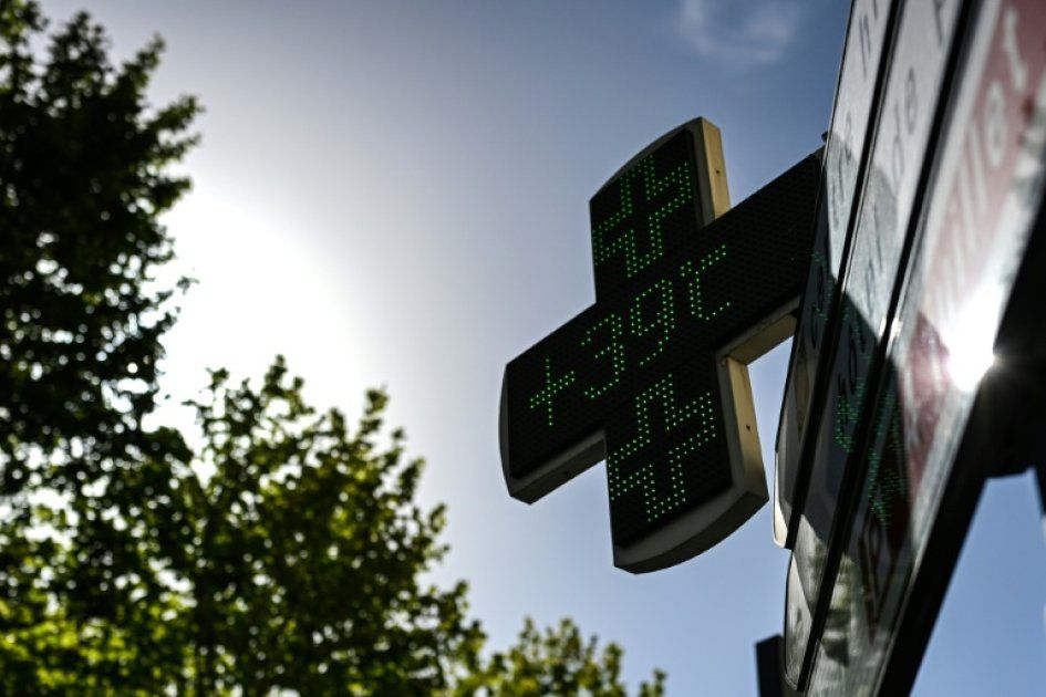 Canicule : un été historique met la France à l'épreuve