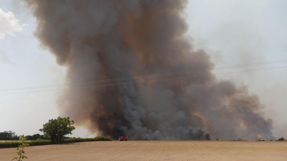 Incendie majeur à Lathus-Saint-Rémy : les pompiers en alerte après une reprise du feu