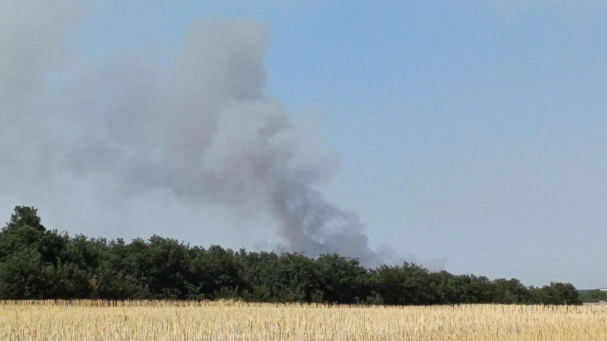 Un incendie majeur ravage la forêt de Brignon dans le Maine-et-Loire