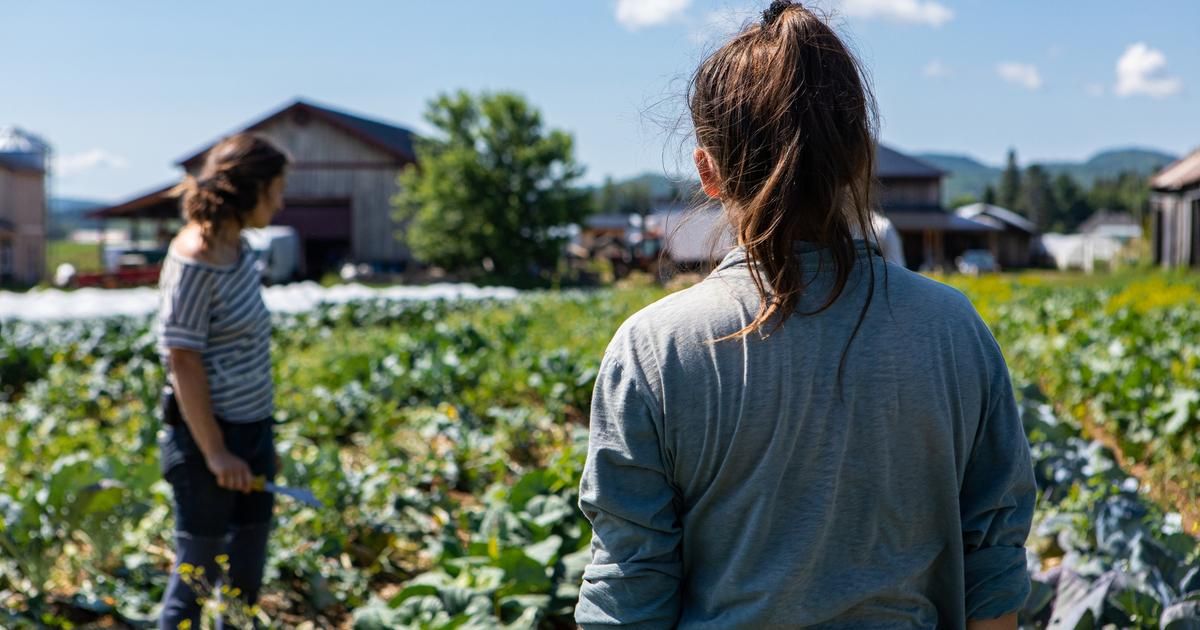 Le bio en danger : 15 propositions pour revitaliser la filière