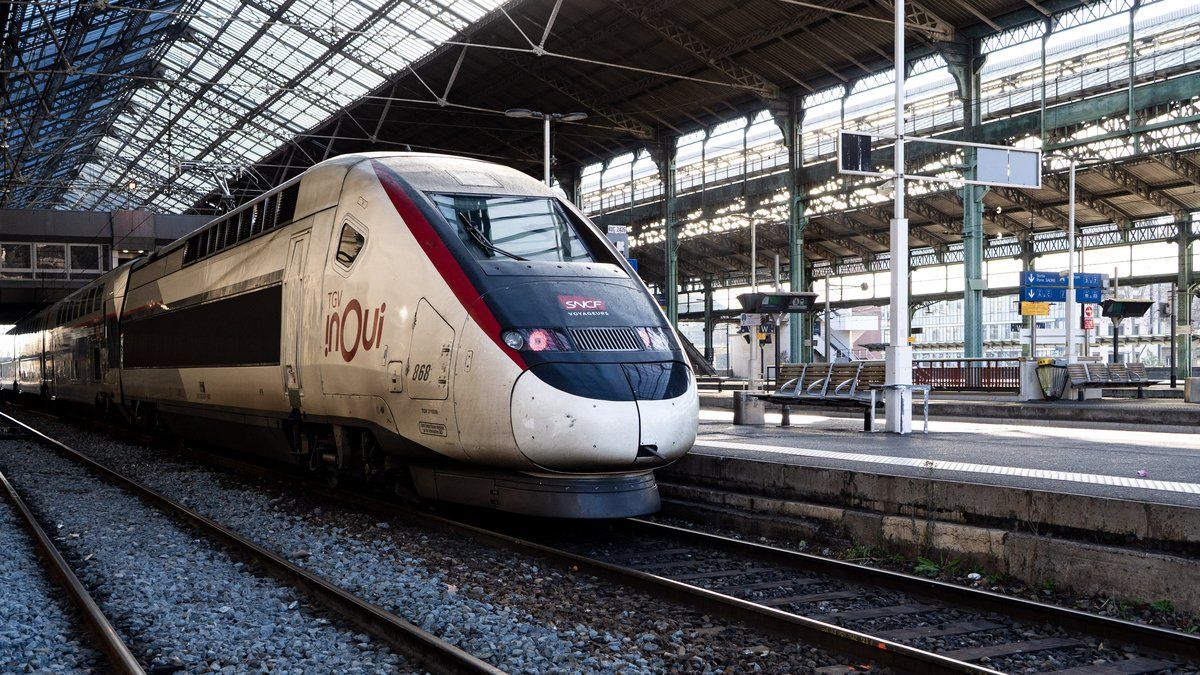 Un drame à la gare de Lyon : la SNCF confrontée à la colère d'un propriétaire de chat