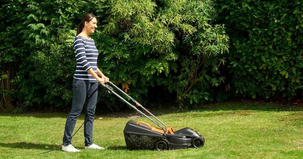 Transformez l'entretien de votre jardin avec cette tondeuse à gazon à prix réduit