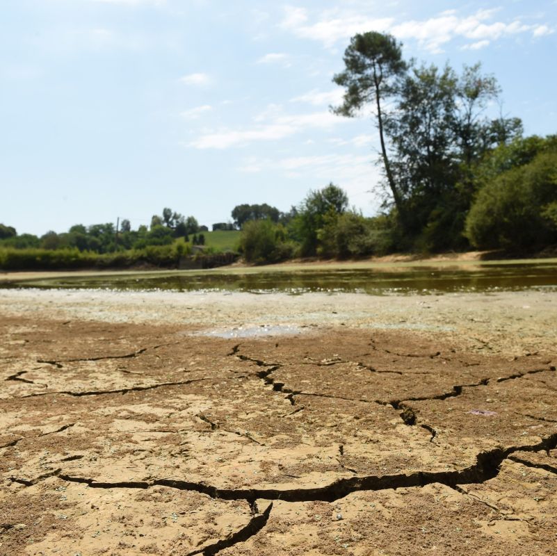 Une France en proie à la canicule et à la sécheresse