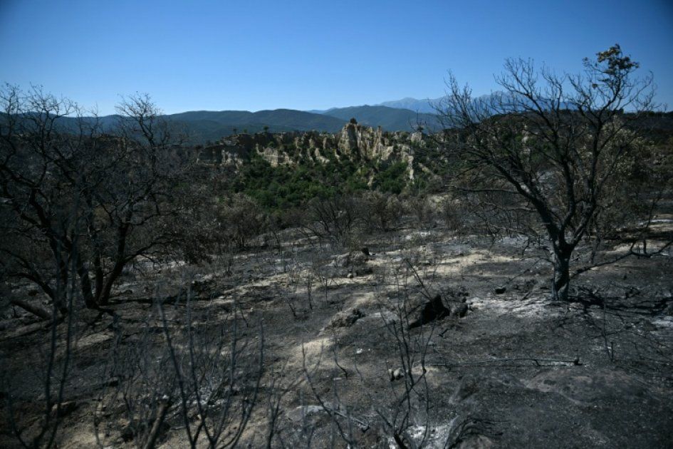 Incendies dans le sud de la France : la bataille continuelle pour protéger les territoires
