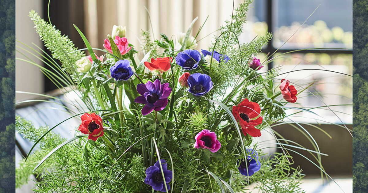 Découvrez les fleurs de saison pour des bouquets éclatants en hiver