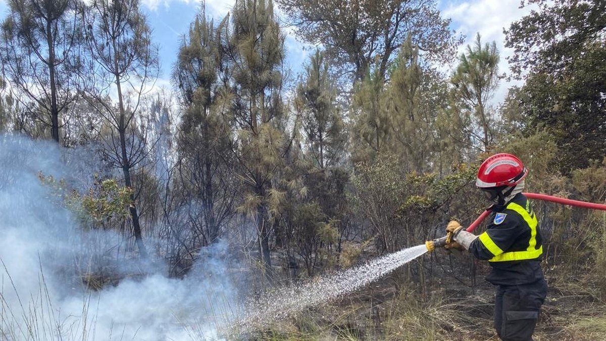Un incendie ravageur dans les Landes : la réponse des secours face à la menace